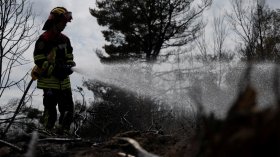 Изпепеленият природен резерват "Делиблатски пясъци" в Сърбия в СНИМКИ