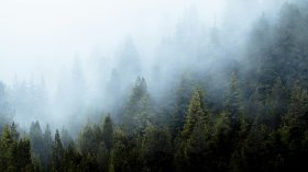 Времето днес: Студено утро, без валежи и с температури до 19 градуса