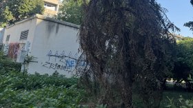Сигнали от страната: Надвиснали клони и сухи дървета опасни за хора и имущество