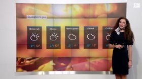 Централна прогноза