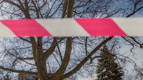 Мъж откри брат си пребит до смърт в двора на къща в Перник