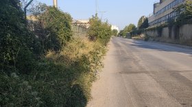 Опасности за пешеходците в столичния "Дружба" 2: Тротоари липсват, превзети са от храсти и треви 