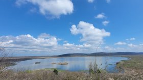 Пеликаните в "Сребърна" спряха да гнездят, нивото на водата е крично ниско