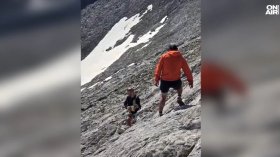 Кучето на Живка е помогнало тялото ѝ да бъде намерено в Пирин след фаталното падане (ВИДЕО)