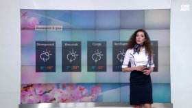 Централна прогноза