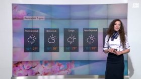 Прогноза за времето: Жега до 30 градуса, следват гръмотевични бури и градушки