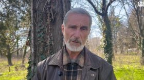 Мечка уби човек на Витоша: Важни съвети за безопасност при среща с хищник