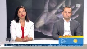 Детската агресия е заради отсъстващото родителство и културата на тарикатите