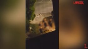 Напрежение пред хотел в София: Скинари опитаха да нахлуят при еврейски тийнейджъри от Италия