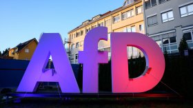 От "Алтернатива за Германия" подкрепиха Костадинов за президент
