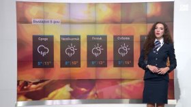 Централна прогноза