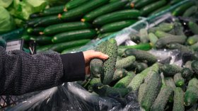 Шокови цени на храните: Краставиците поскъпнаха с над 22%, кестените стигнаха 10 евро/кг