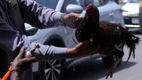 Рекордни горещини в Пакистан и нестандартни решения (СНИМКИ)