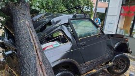 Бурята в София: Дърво падна върху майка и деца, коли са смачкани и улици под вода