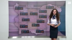 Централна прогноза