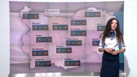 Централна прогноза