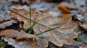 Прогноза за времето днес: Облачно, дъждовно и ветровито