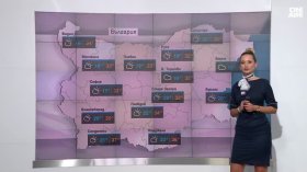Централна прогноза