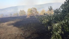 Пожарът при Камен връх обхвана 1600 декара, силният вятър затруднява гасенето