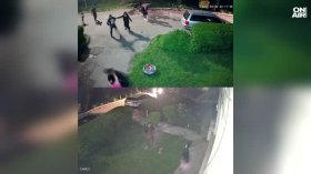 Напрежение в Габрово след масов бой (+ВИДЕО)