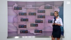 Централна прогноза