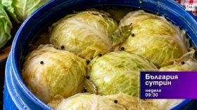 В "България сутрин" на 18 октомври от 9:30 часа: Защо туршиите са подходящи за диети за отслабване?
