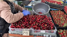 От борсата до щанда поскъпването е 35% - какво и защо се случва с цените на храните (ВИДЕО)
