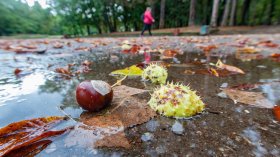 Времето във вторник: Облаци, дъжд и слаб вятър