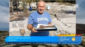 Проф. Овчаров показа сензационни находки от Перперикон пред Bulgaria ON AIR