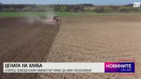 Обедна емисия