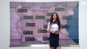 Централна прогноза