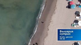 В "България сутрин" на 11 август от 9:30 часа: Кои са летните навици, които ни разболяват?