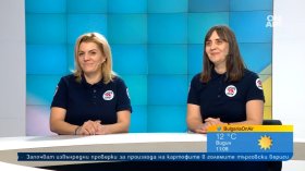"Следваща спирка: Грижа": Мащабна кампания в подкрепа на бездомните животни