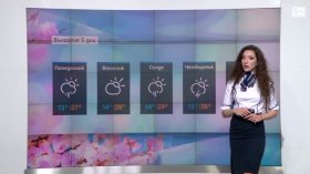 Централна прогноза