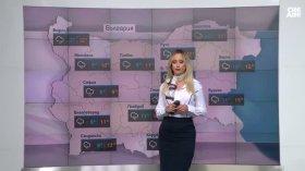 Централна прогноза