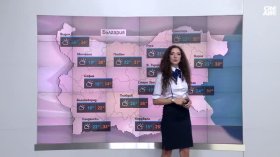 Централна прогноза