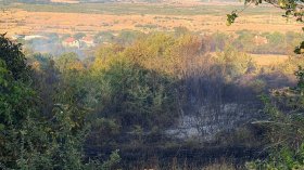 Пожарът между Вълчаново и Сливово е обхванал около 950 дка земя