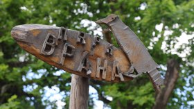 Обезопасяват парк "Врана" заради риск от пожари и опасни дървета