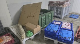 БАБХ затвори незаконен цех за консерви в Пловдивско