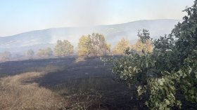 Големият пожар край Дупница остави огнеборците на крак цяла нощ