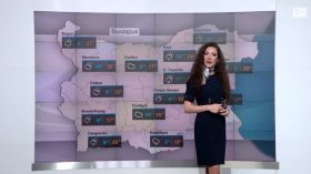 Централна прогноза