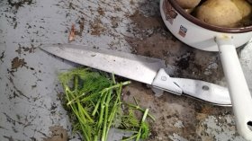 БАБХ затвори кухня в хотел в Равда заради инсекти и развалена храна