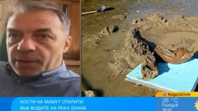 Вкаменелостите от мамут в Дунав край Ряхово са по-редка от тракийско съкровище
