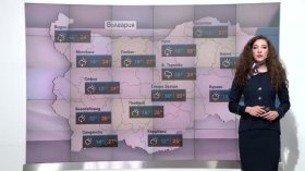 Централна прогноза