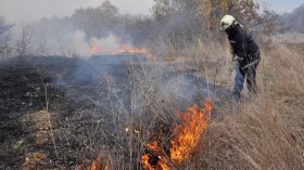 WWF: Средно по 120 000 декара гори изгарят всяка година в България