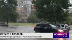 Обедна емисия