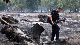 Огнен ад край Бордо: Пожар изпепели площ четири пъти по-голяма от Париж