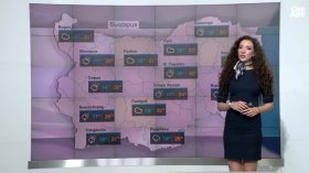 Централна прогноза