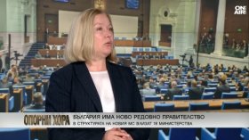 Надежда Йорданова: "Прогресивна България" няма план да се бори със завладяната държава