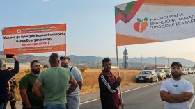 Прасковите се изкупуват на цени отпреди осем години, овощари предупреждават за масови фалити